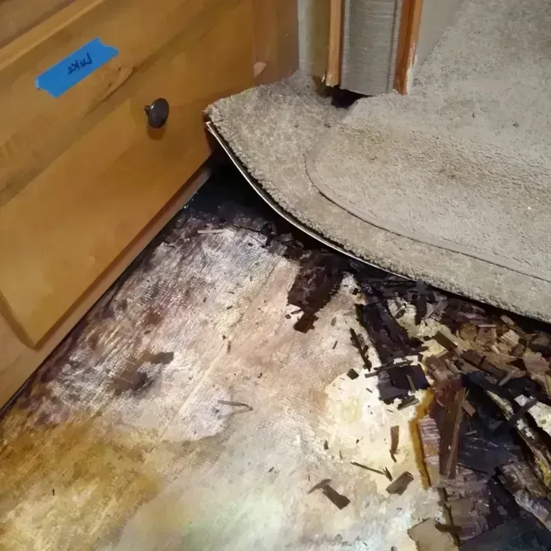 Wood Floor Water Damage in Arnold, MD